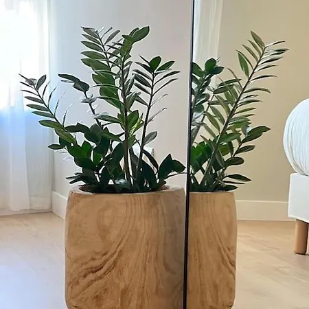 Marbades, Tu Relax En Abades *