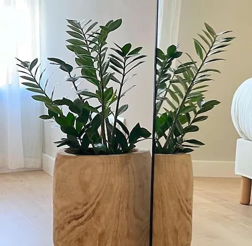 Marbades, Tu Relax En Abades *